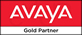 Avaya Authorised Partner