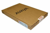 Avaya DECT AIWS2 Front mounting Kit - 700501780